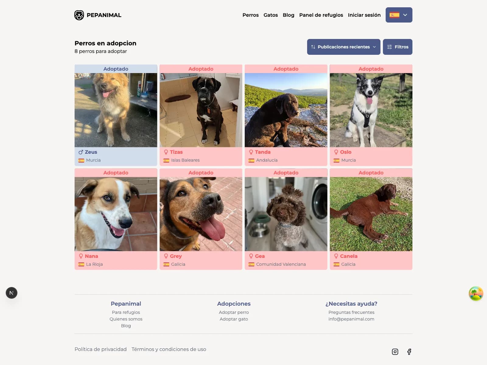 Public catalog of dogs up for adoption with per-animal cards and sort/filter controls