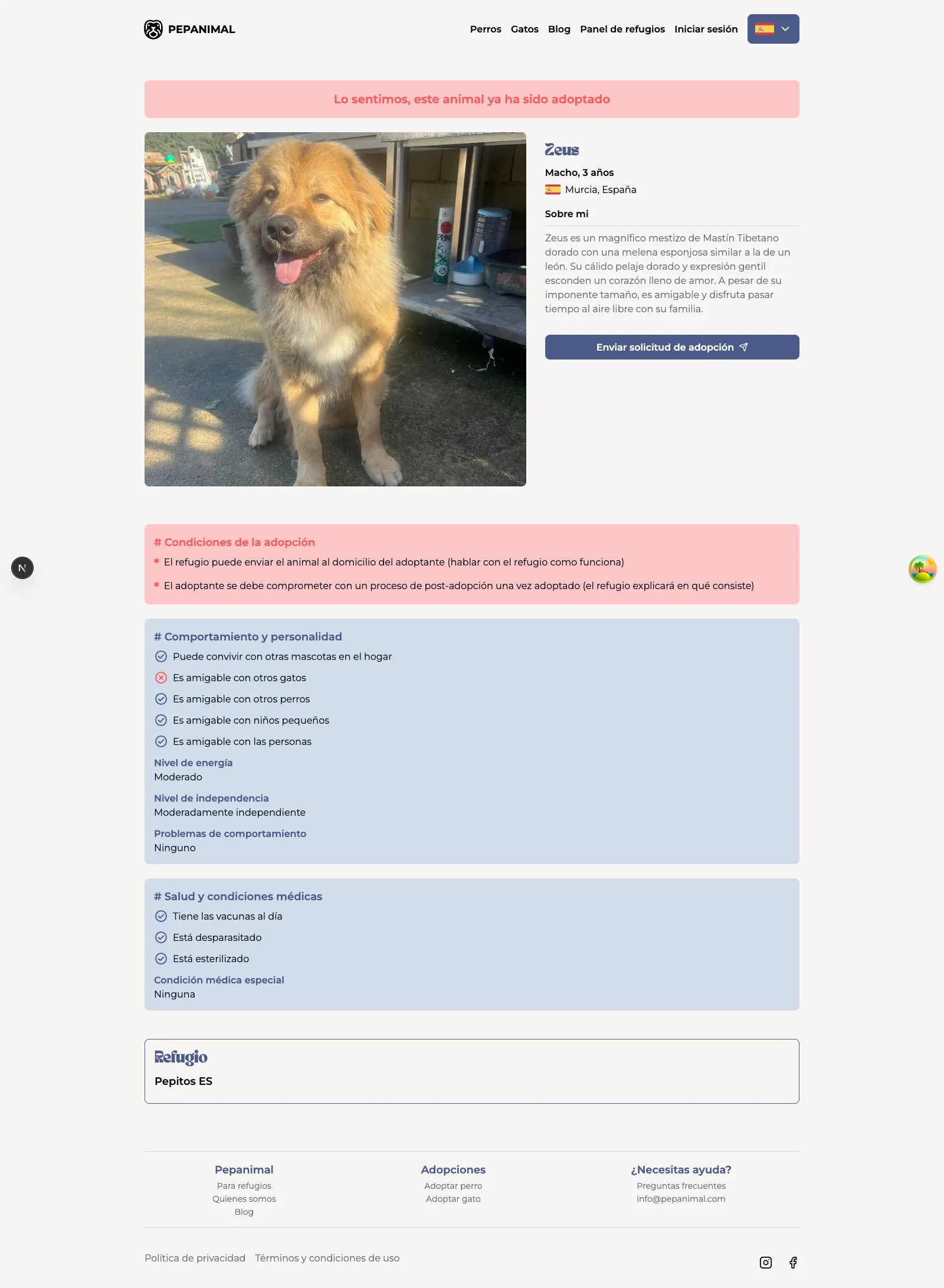 Detailed animal profile with photo, key data, adoption conditions, behavior, health and responsible shelter